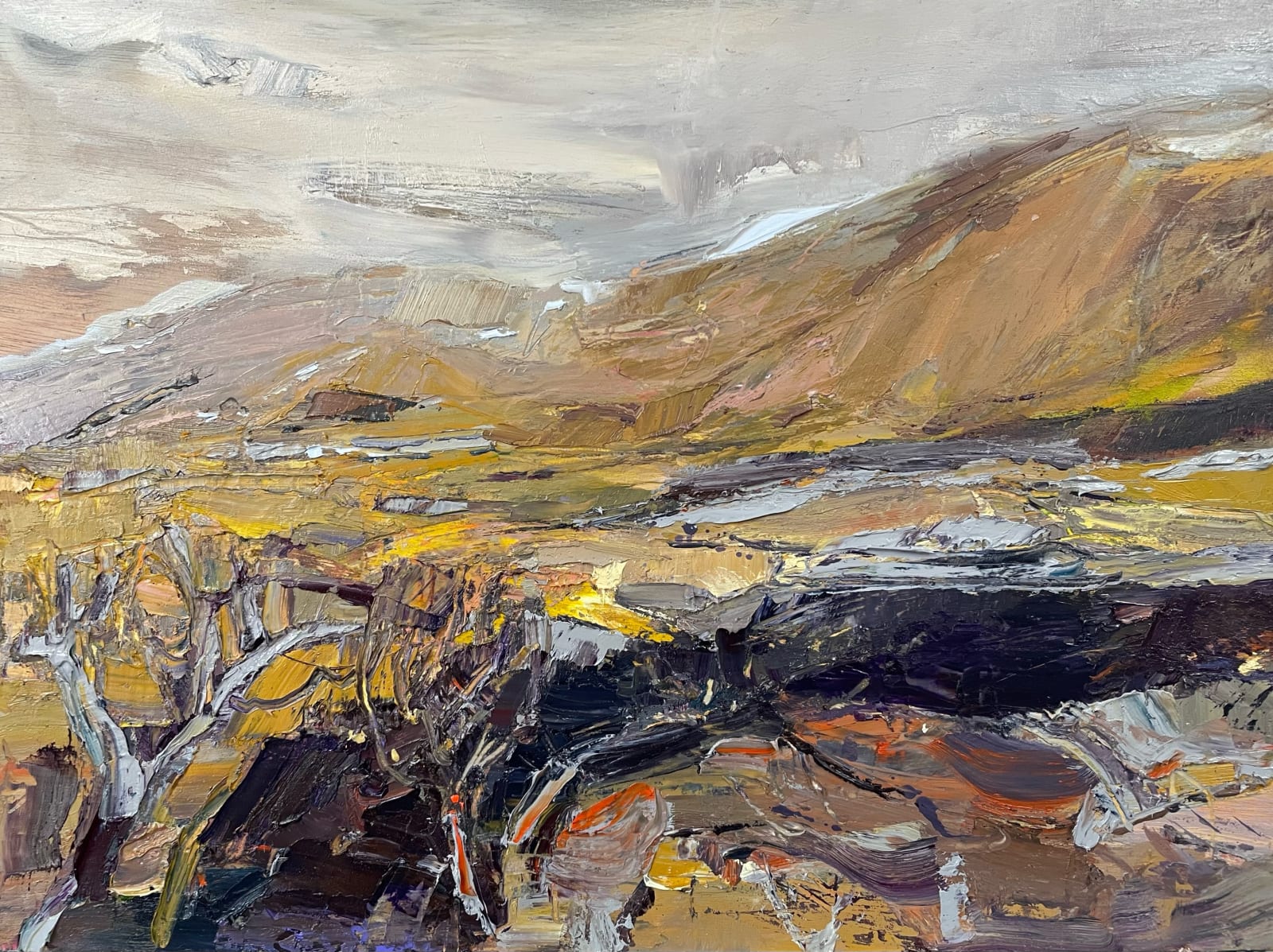 Beth Fletcher, Dyffryn Ogwen Study (Autumn Frost)
