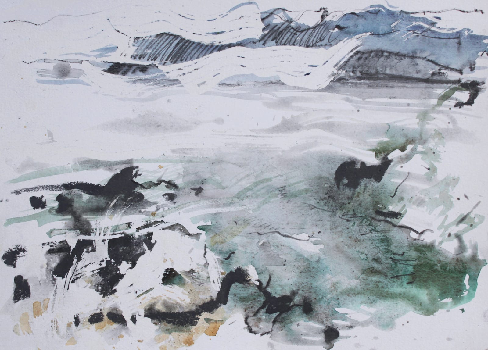 Chloe Holt, Study of Anglesey Rock Pools