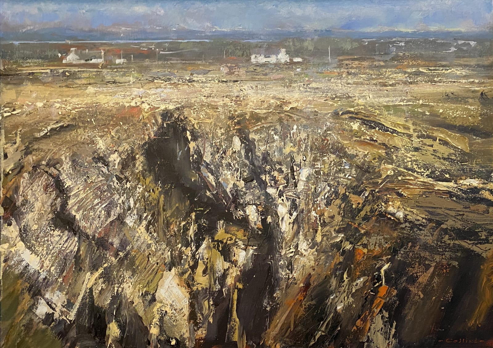Martin Collins 1941 - 2023, Cliffs near St Gwenfaen's Well, Ynys Mon, 2012