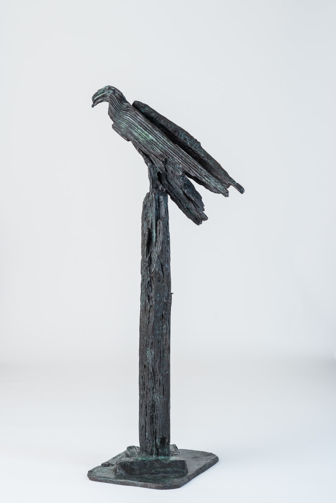 Helen Sinclair, Upon the Rough Bark (after 'Hawk Roosting' by Ted Hughes)