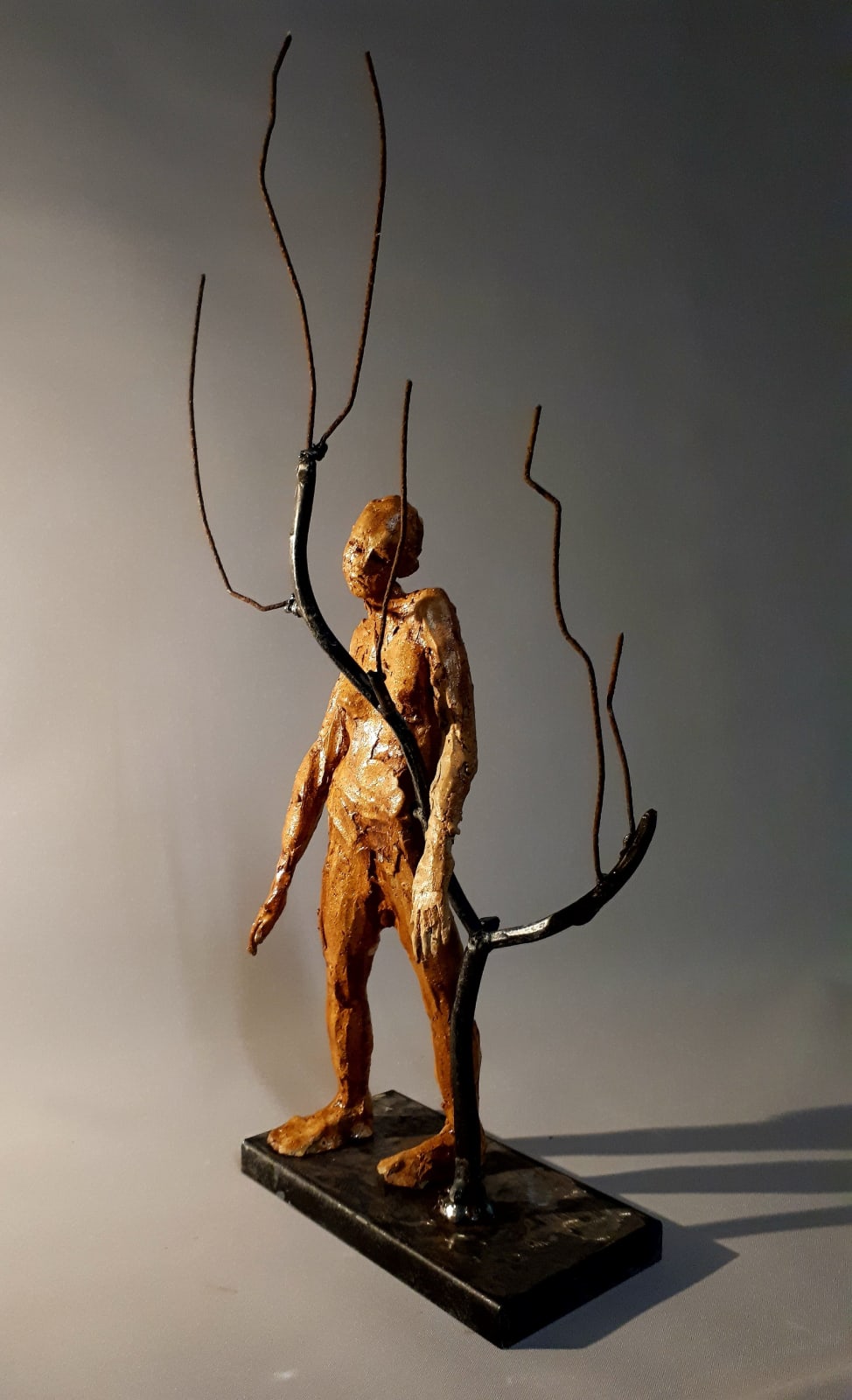 Sharon Griffin, Dancing with the Trees