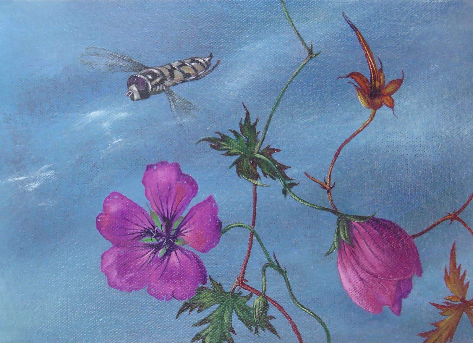 Kim Dewsbury, Garden Life with Geraniums