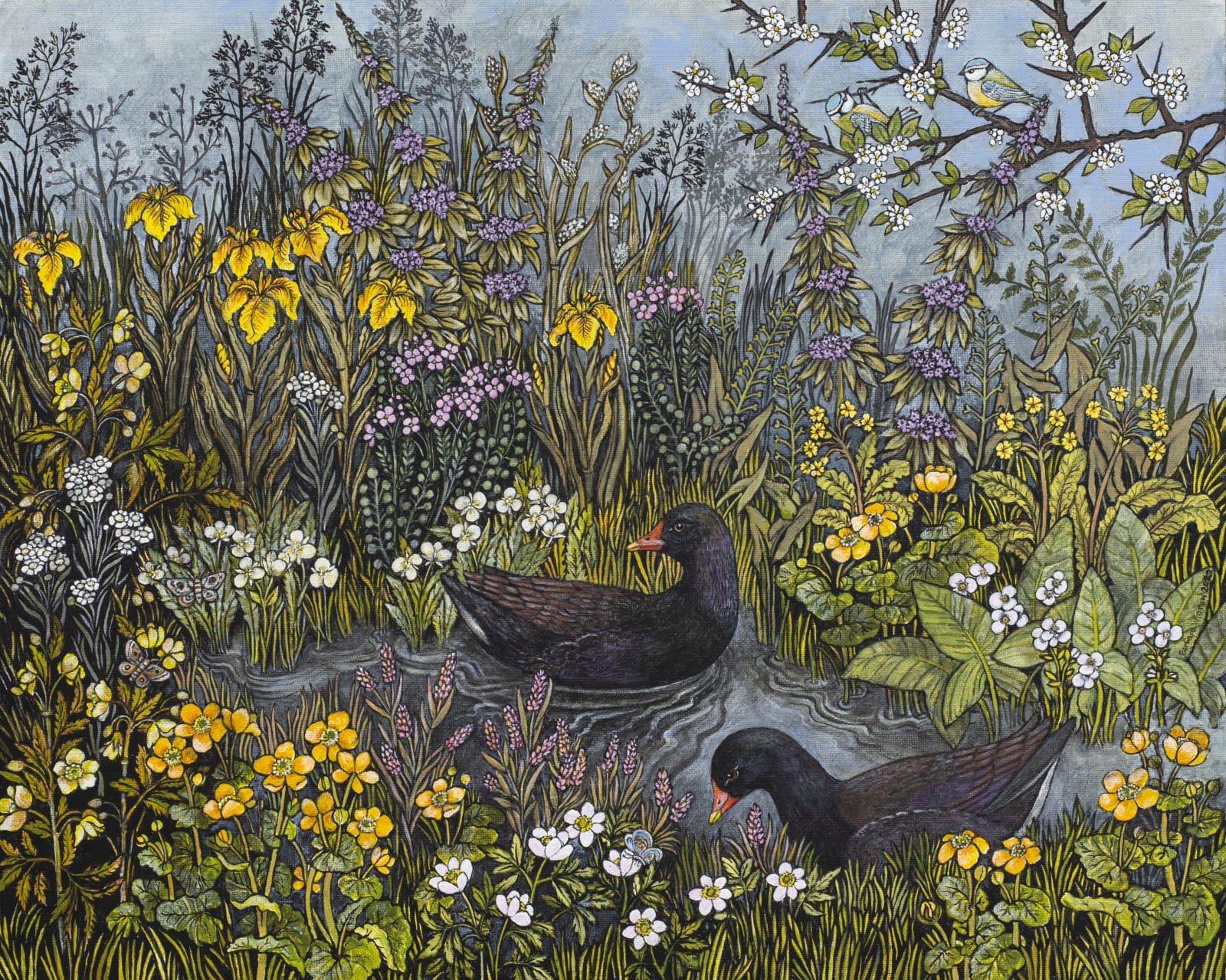 Barbara Winrow, Moorhens