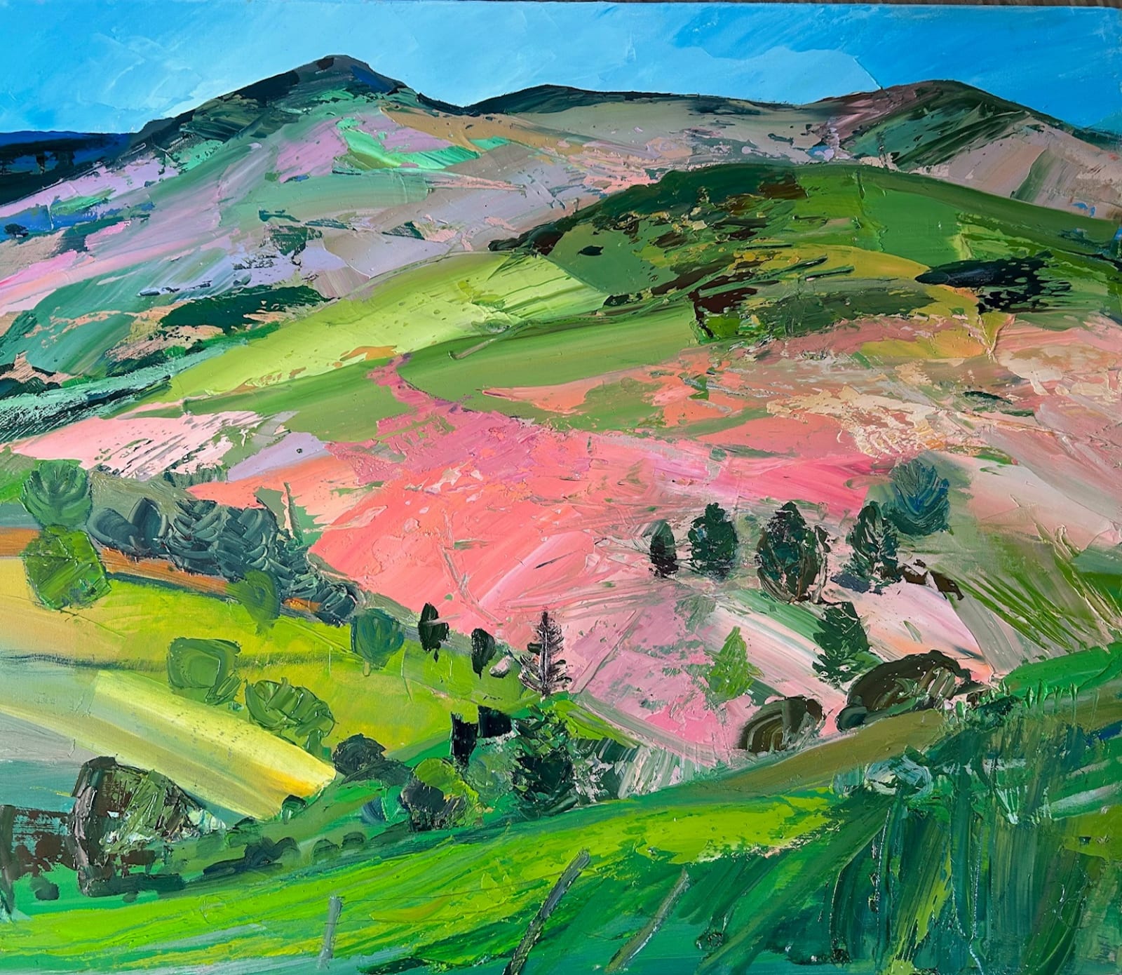 Sarah Carvell, Interwoven Lands with Pink, 2025