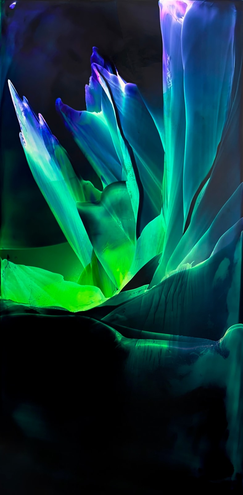 Jonathan Retallick, Growth, 2024