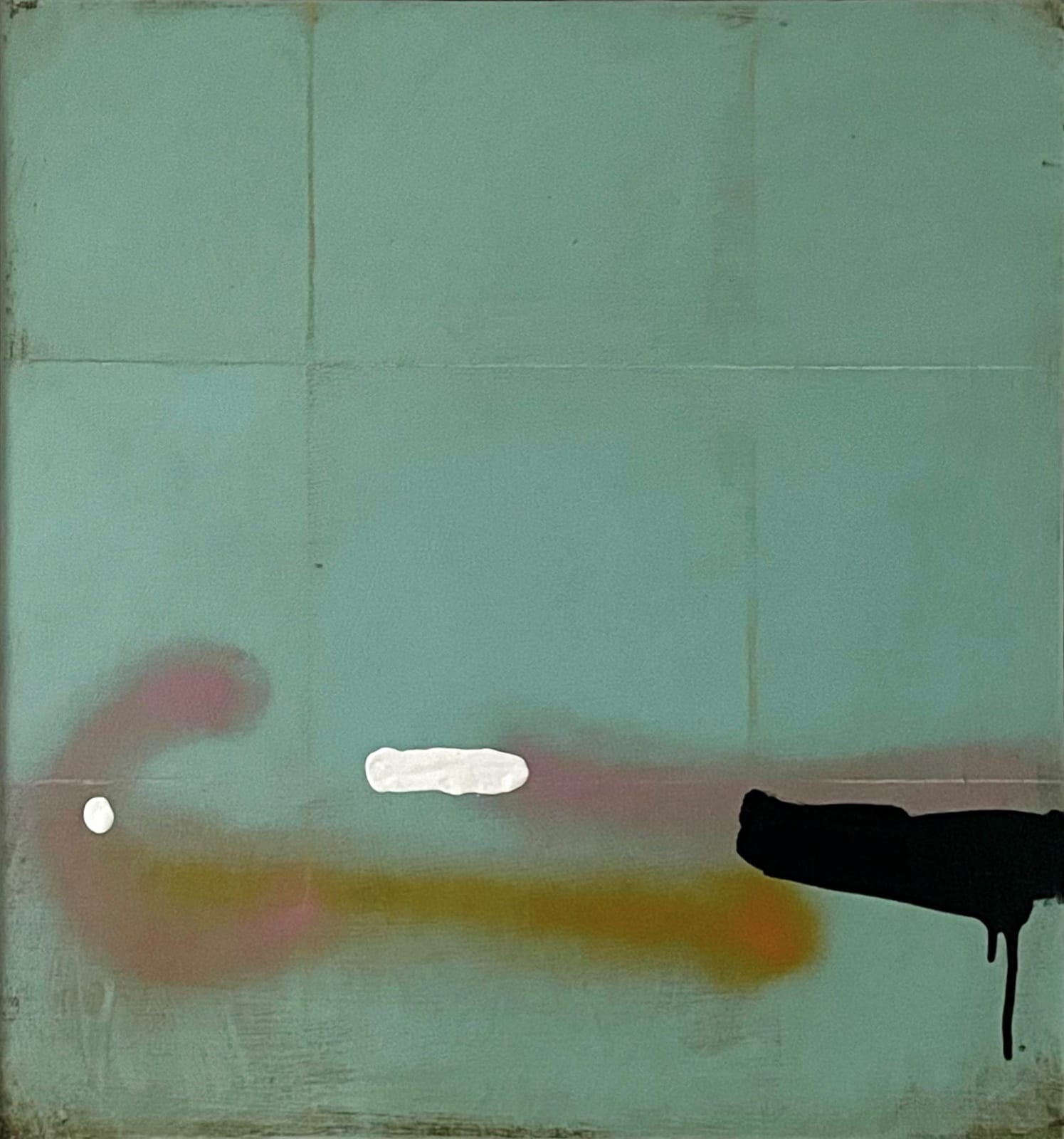 Adam Taylor, Long Distance Swimmers