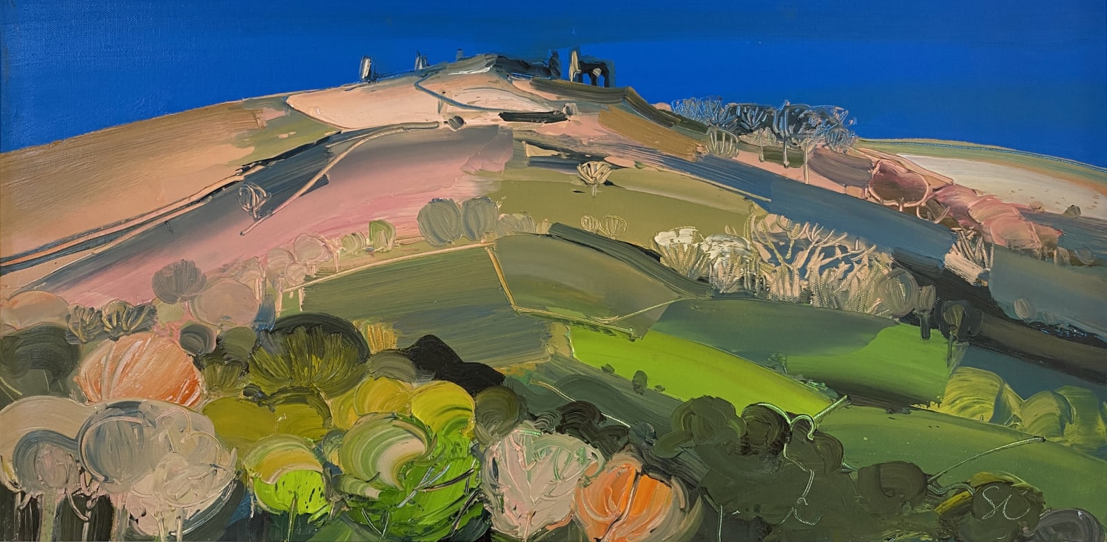 Sarah Carvell, Castell Dinas Bran in May, 2023
