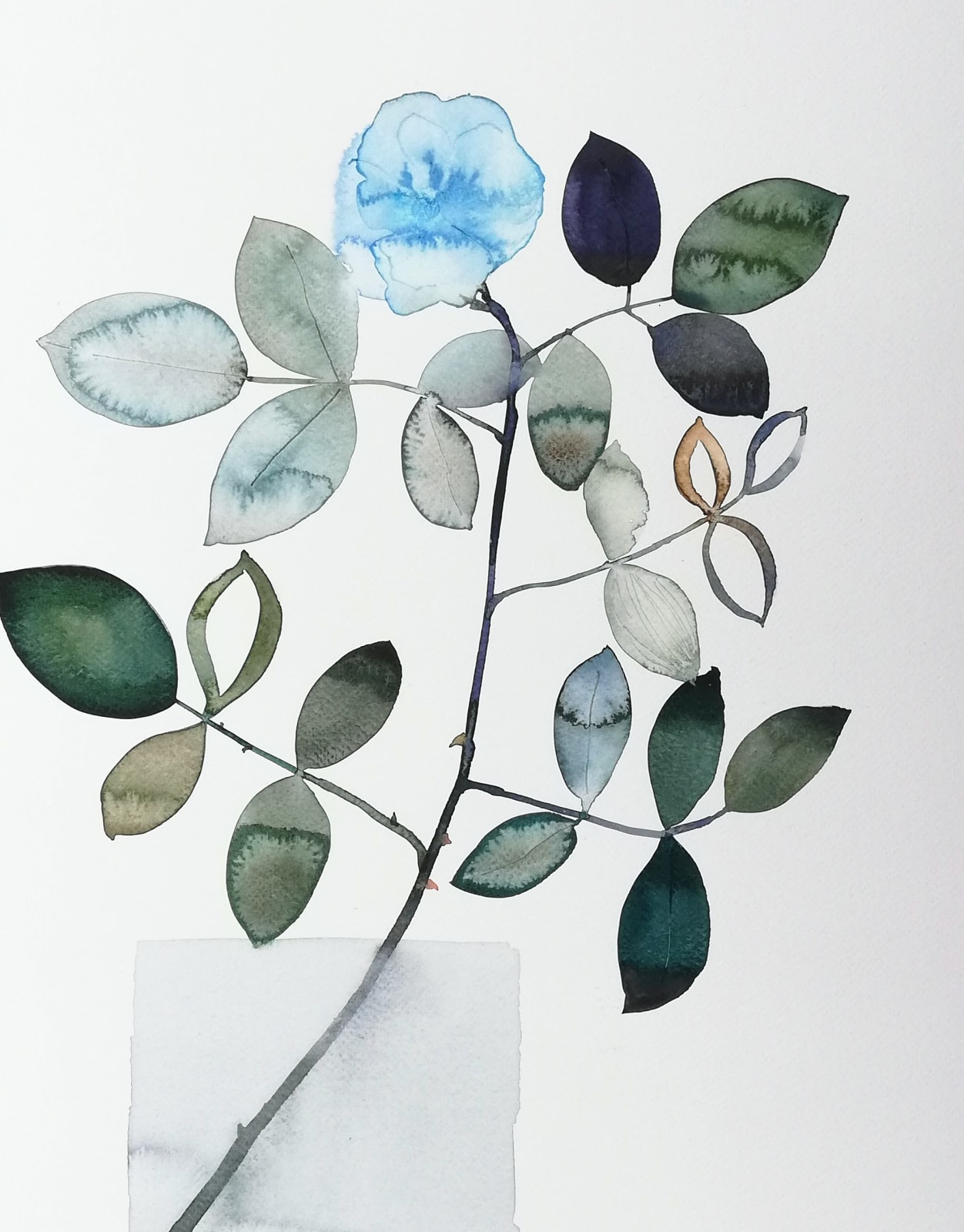 Susan Kane, Blue Rose, 2024