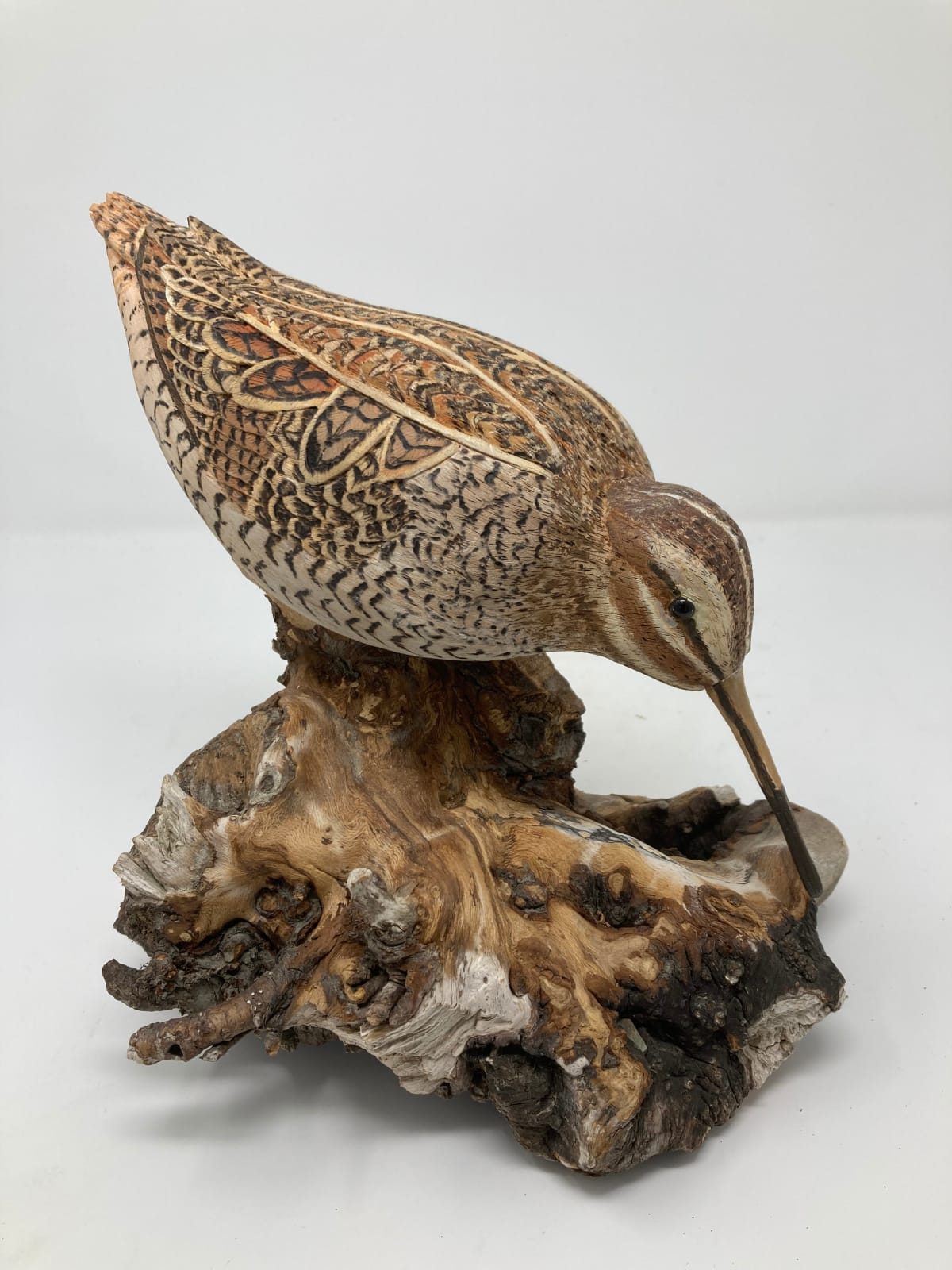 John & Marilyn Davies, Snipe, 2024