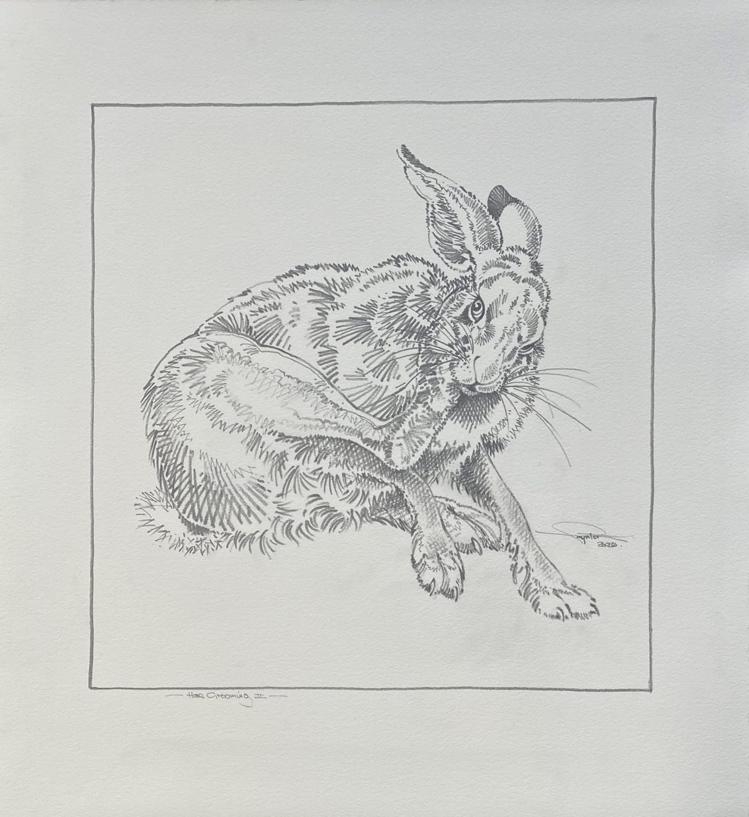 Colin See-Paynton, Hare Grooming II