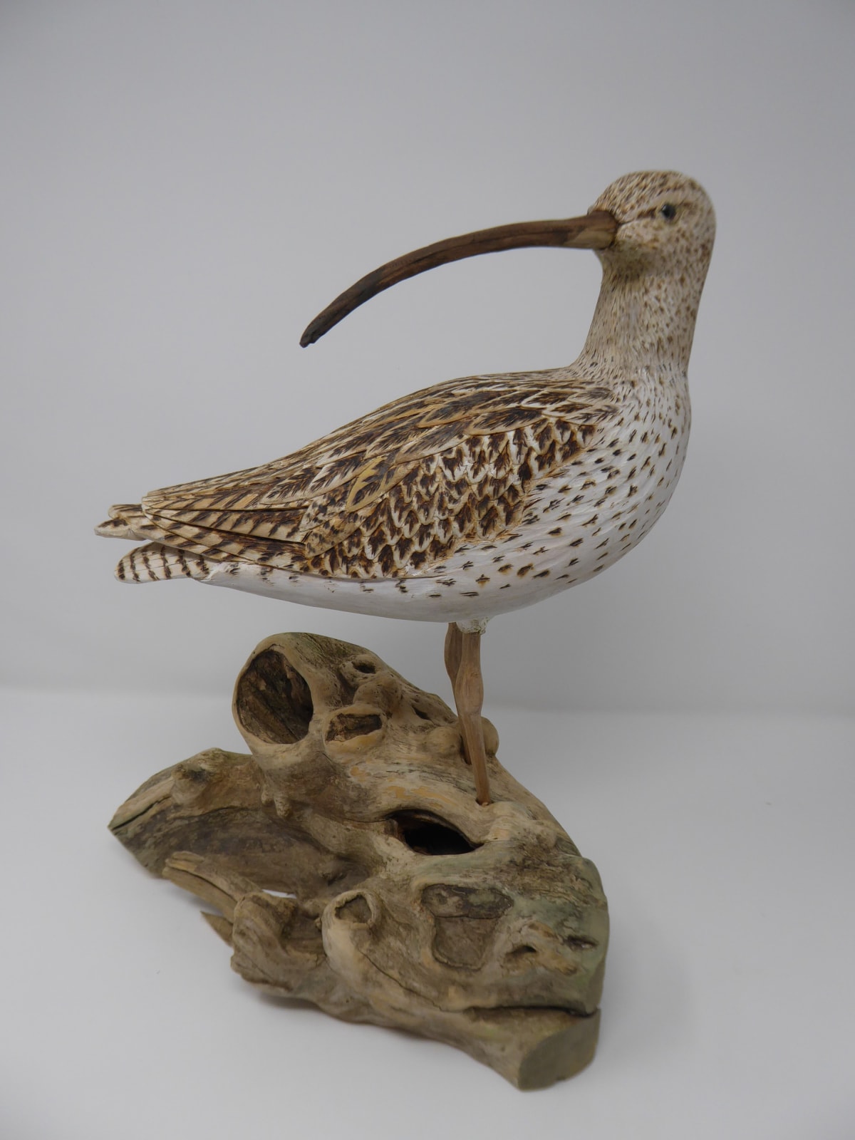 John & Marilyn Davies, Curlew