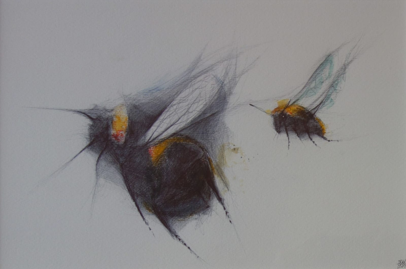 Dewi Tudur, Dau Gacwn / Two Bees