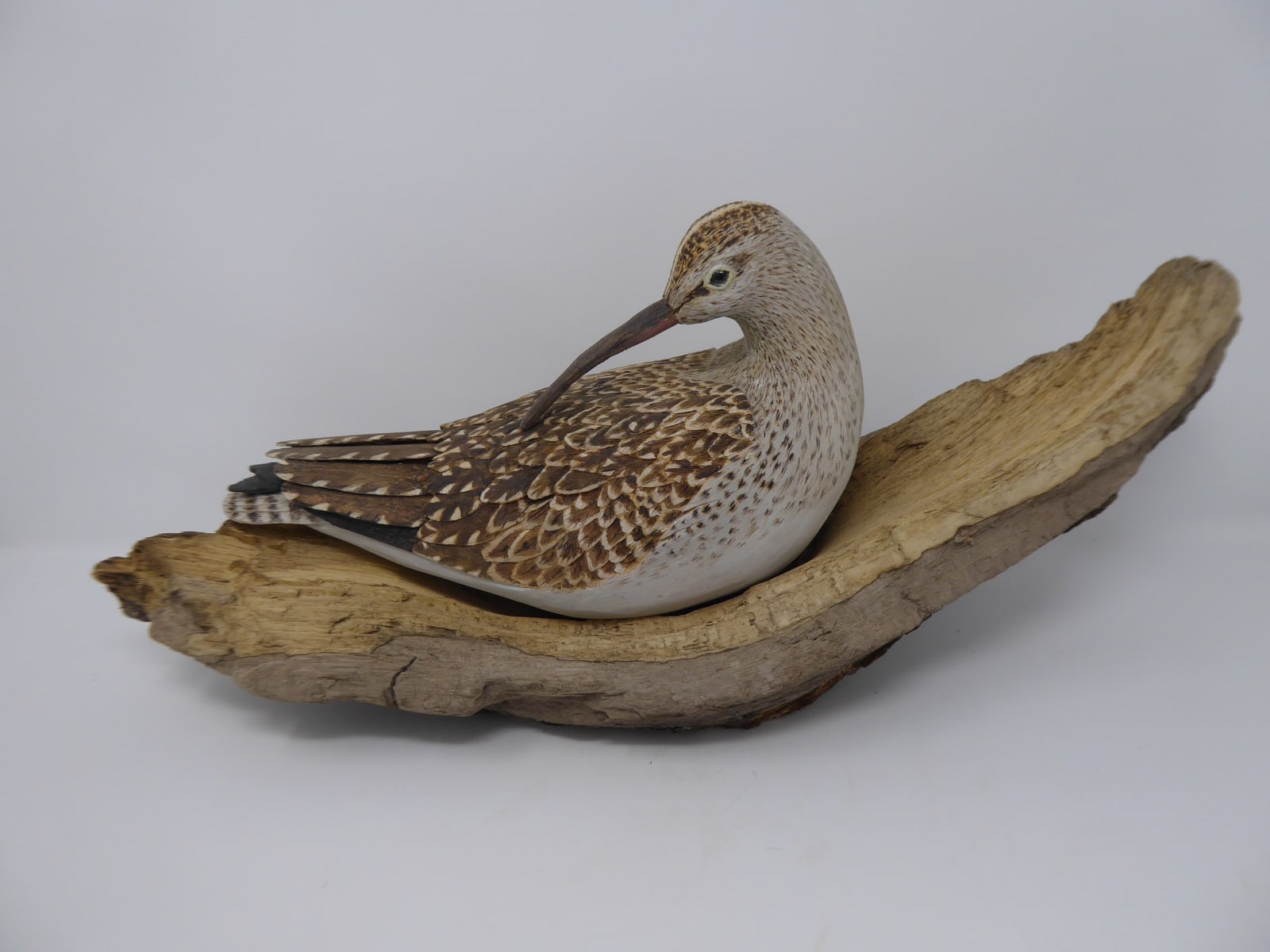 John & Marilyn Davies, Whimbrel