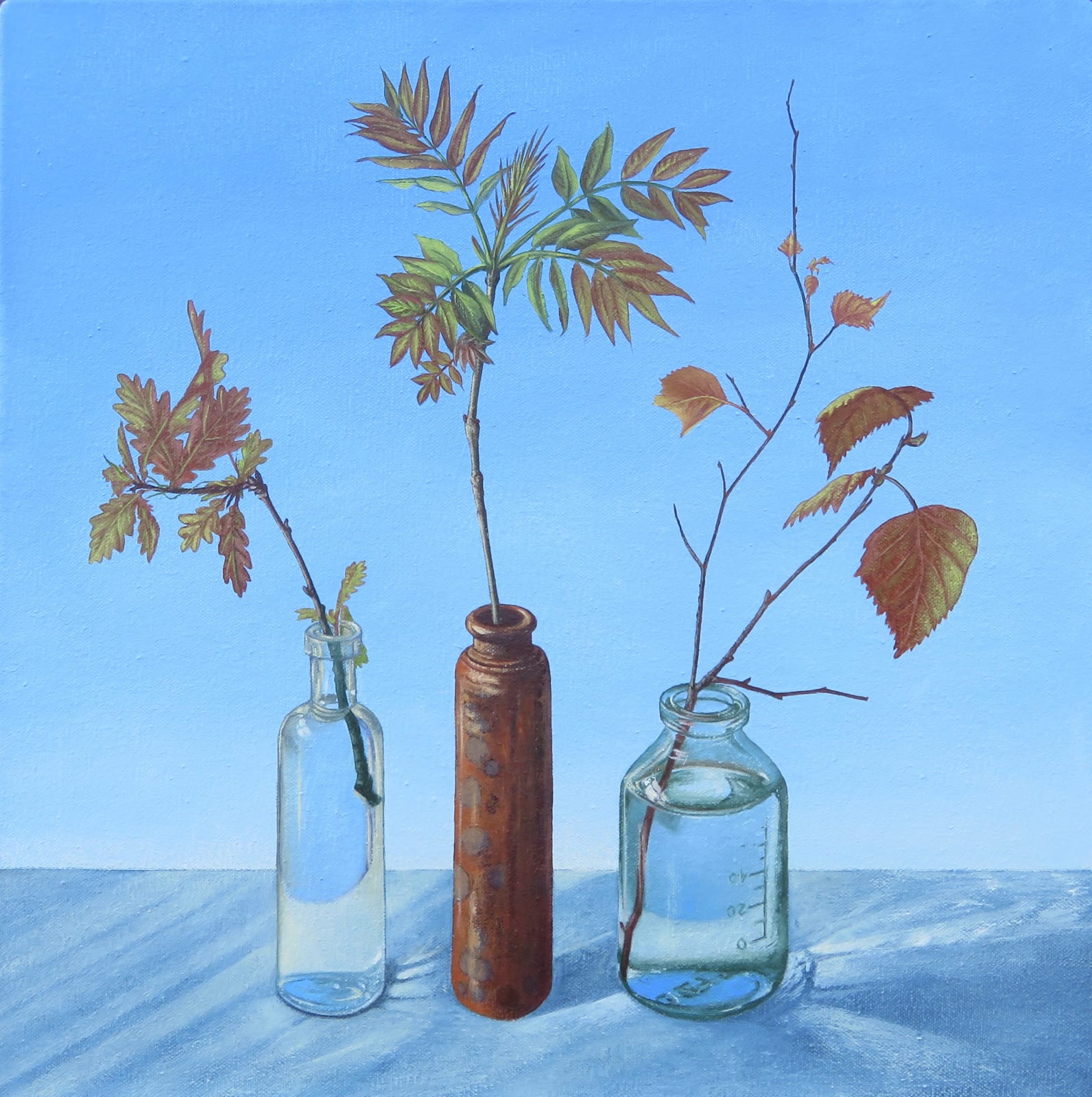 Kim Dewsbury, Oak, Ash, Birch. Early Spring, Bogwood