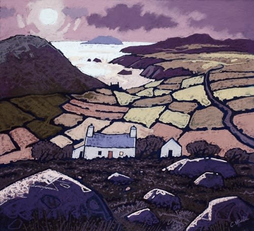 Chris Neale, Penarfynydd