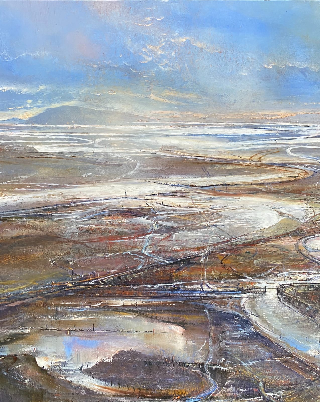 Iwan Gwyn Parry, The Light and Space of a Dublin Bay Shore