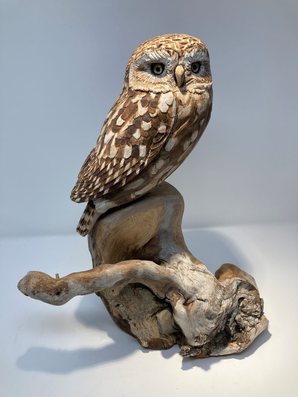 John & Marilyn Davies, Little Owl