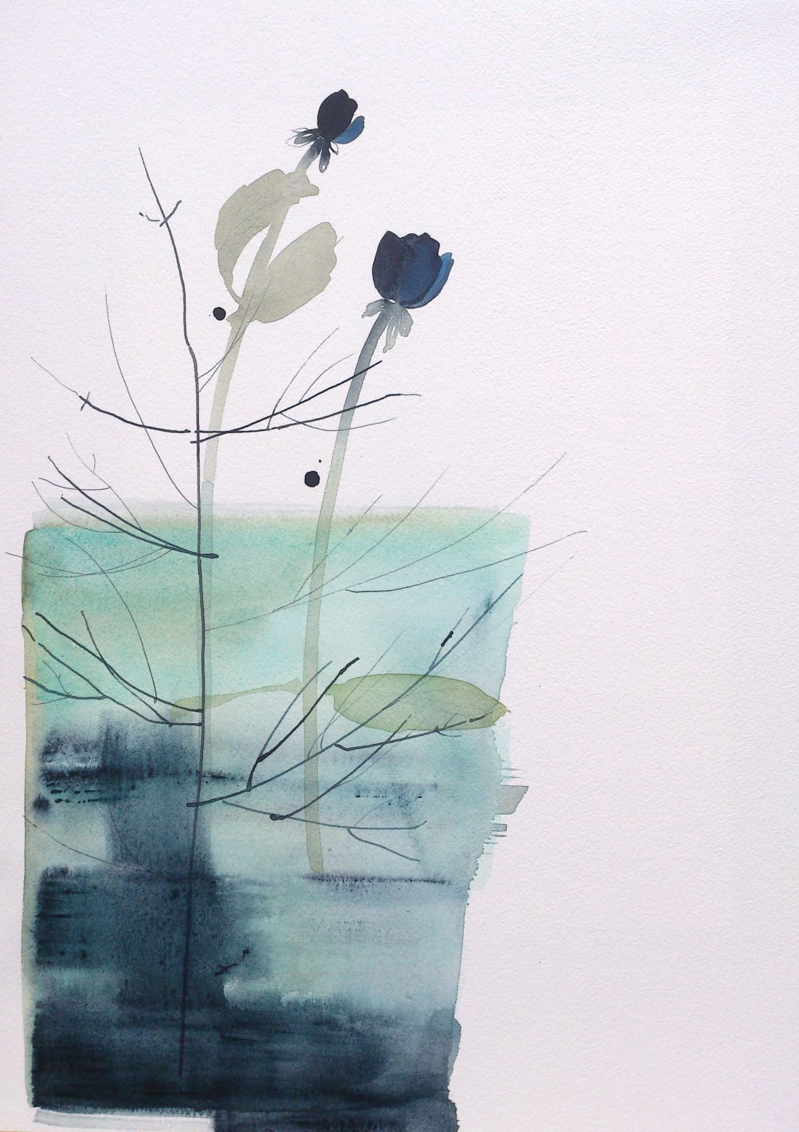 Susan Kane, Fjord