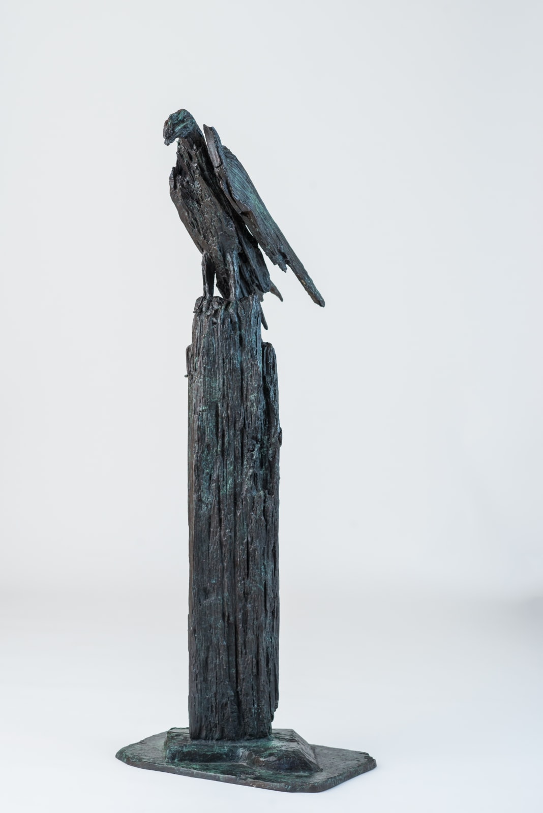 Helen Sinclair, Upon the Rough Bark (after 'Hawk Roosting' by Ted Hughes)