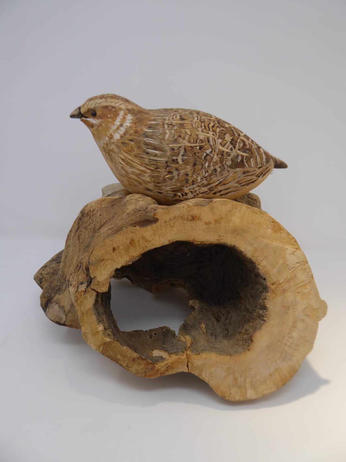John & Marilyn Davies, Quail