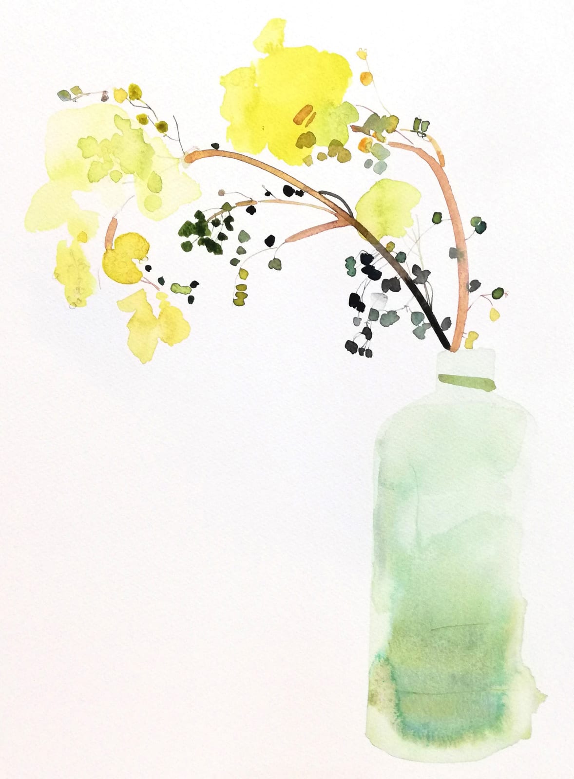 Susan Kane, Yellow Bloom