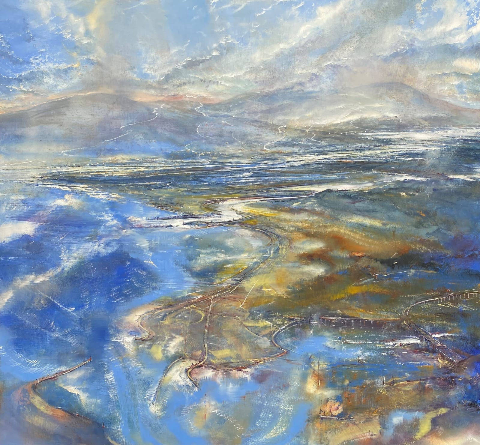 Iwan Gwyn Parry, The Cambrian Mountains Shoreline