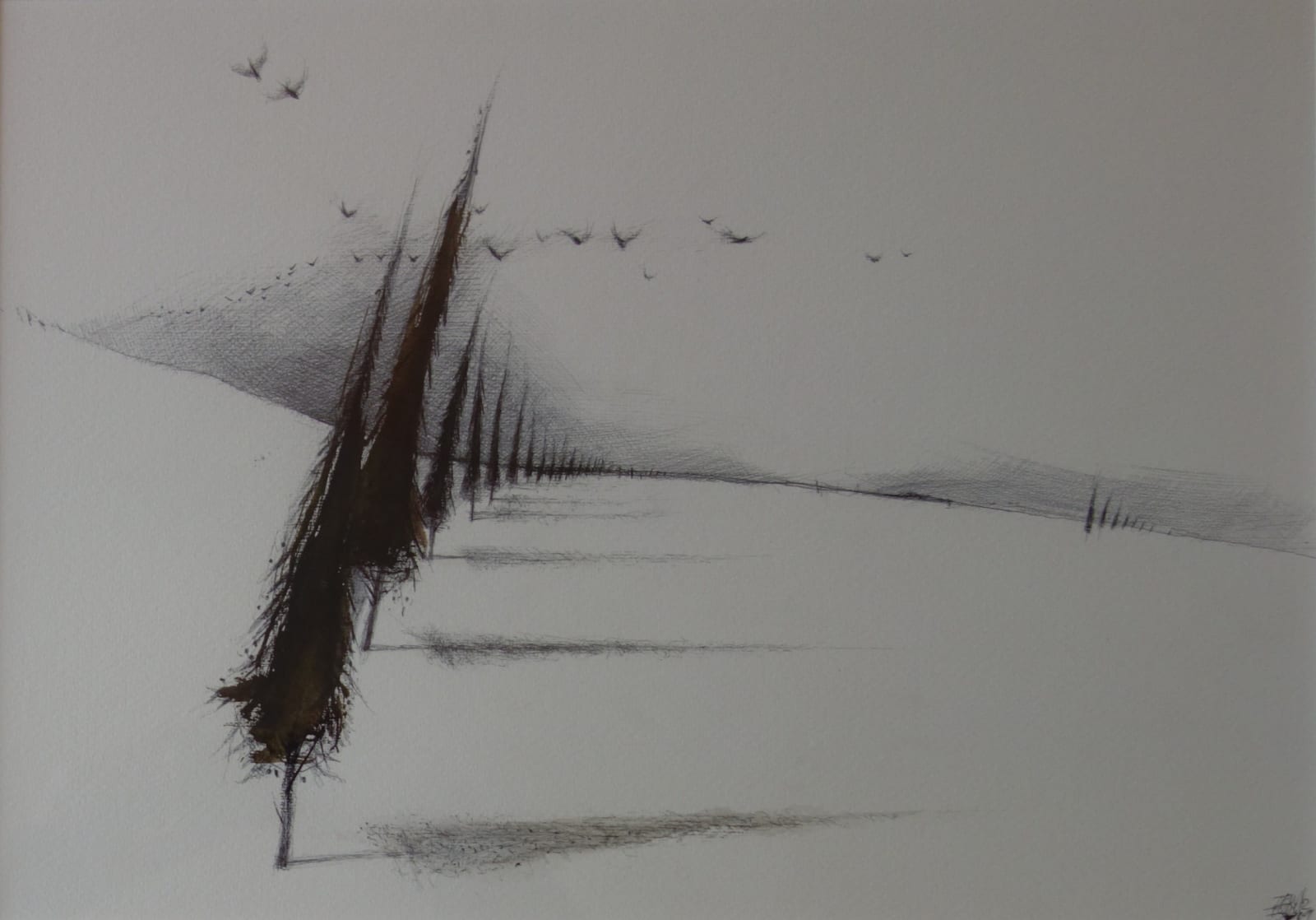 Dewi Tudur, Coed Cyprys / Cypress Trees