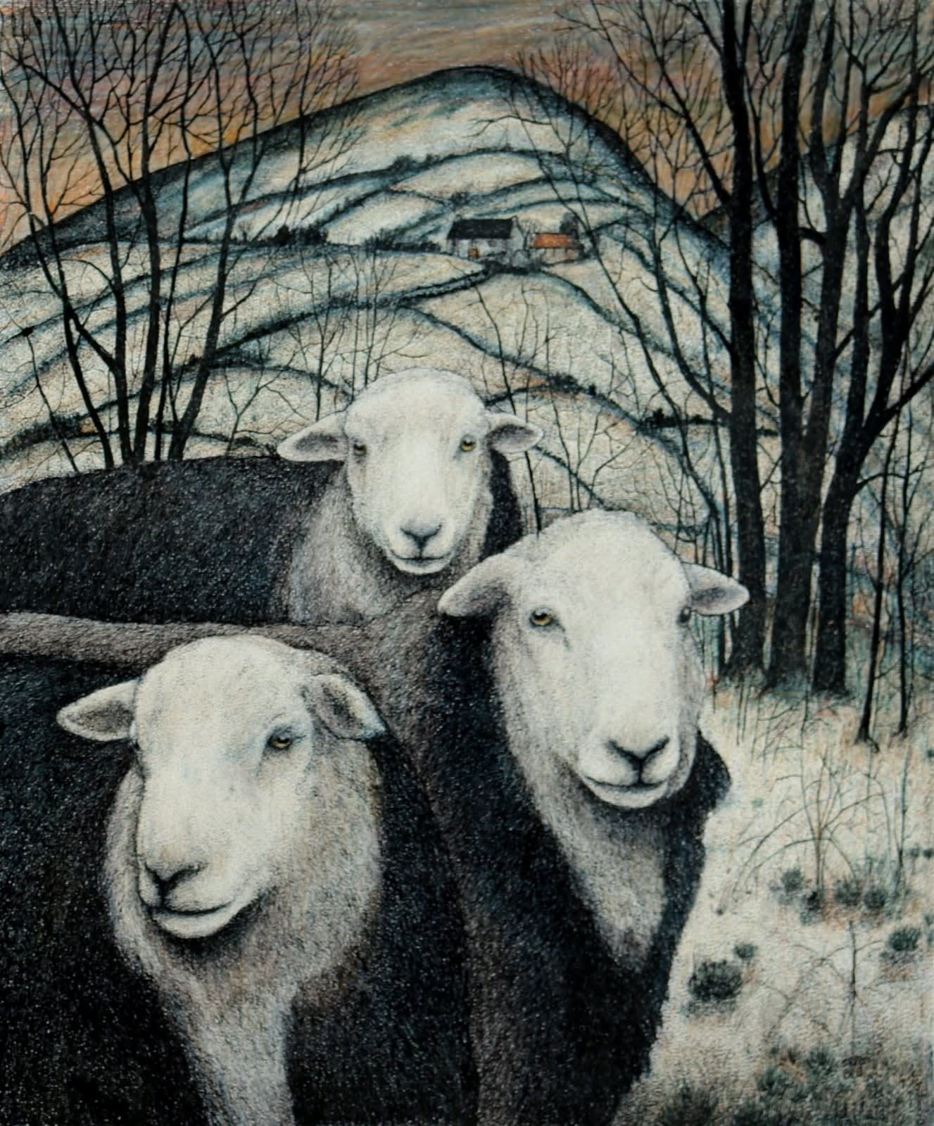 Seren Bell, Herdwick, Winter Hills
