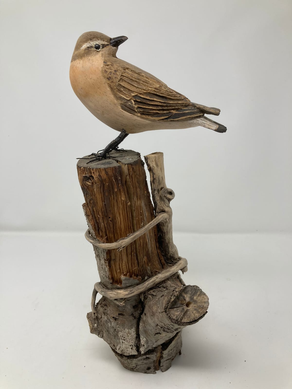 John & Marilyn Davies, Wheatear, 2025
