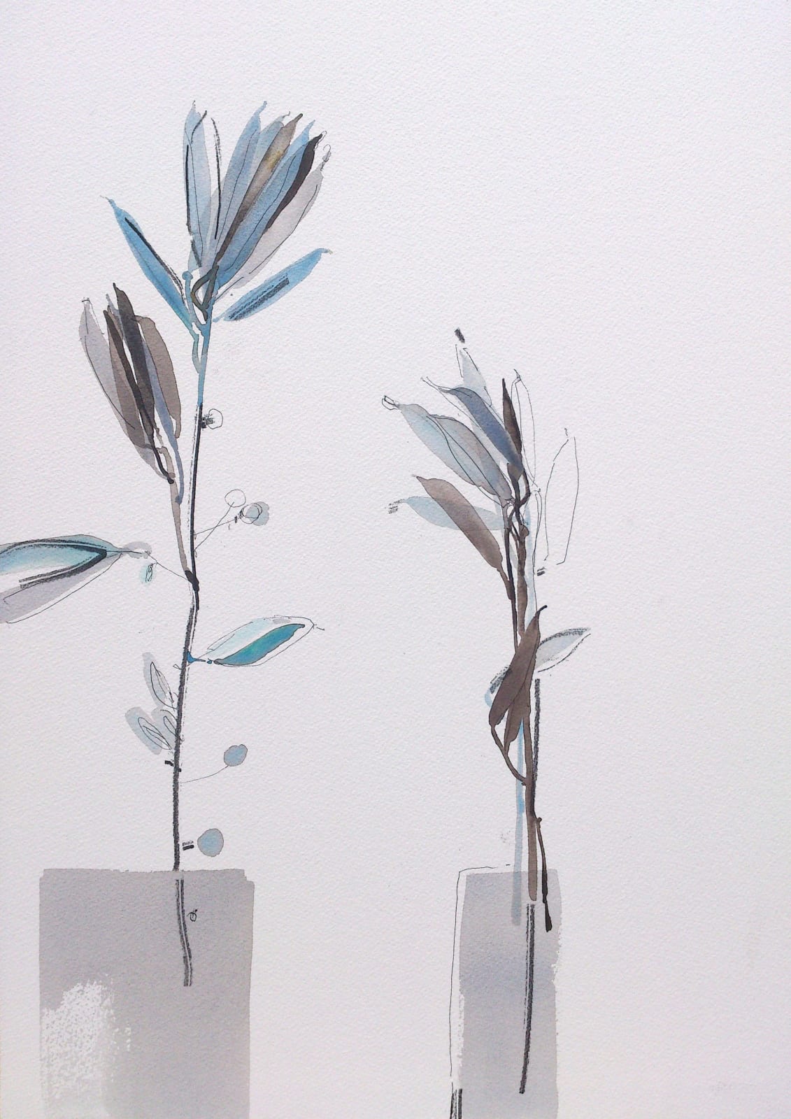 Susan Kane, Winter