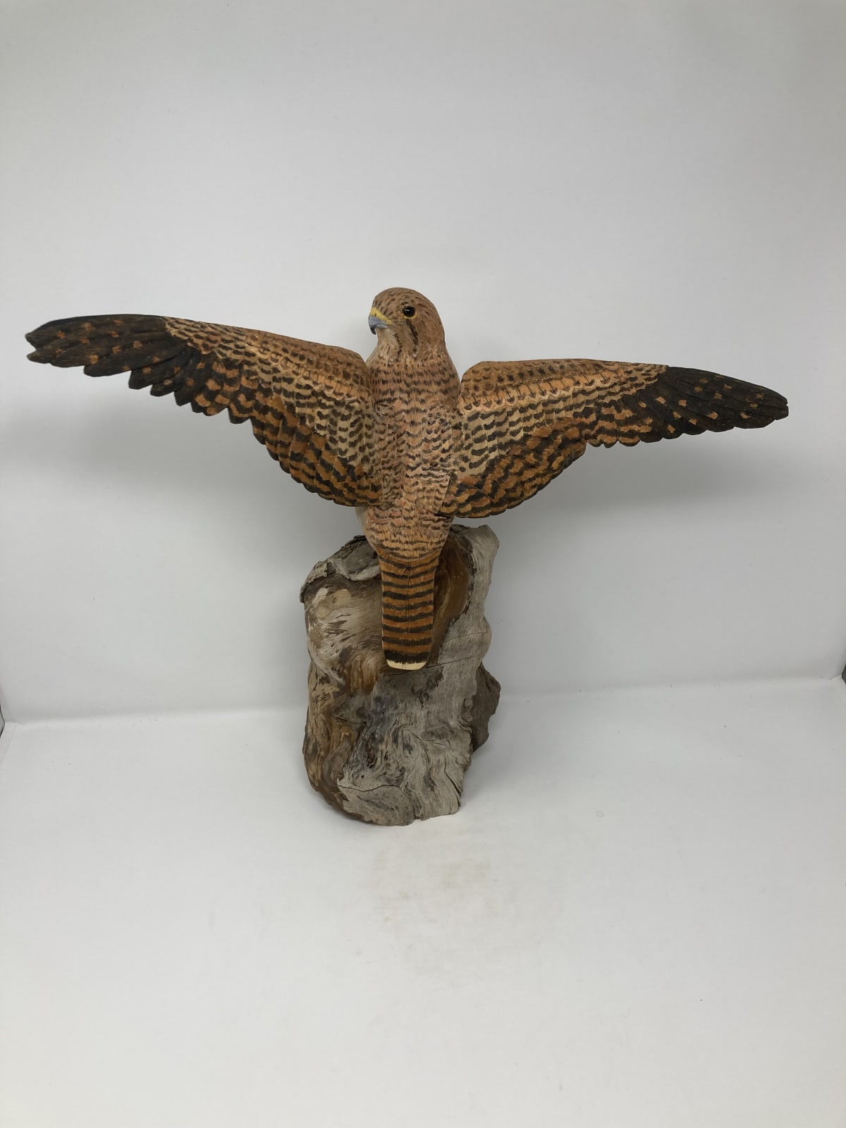 John & Marilyn Davies, Female Kestrel