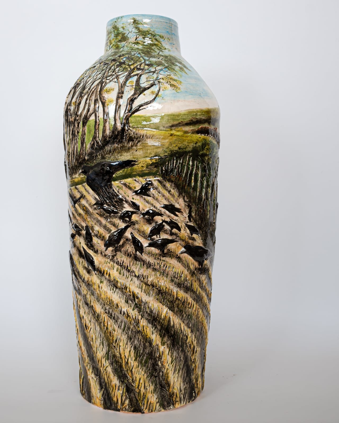 Helen Gittins, Rooks, Vale of Clwyd