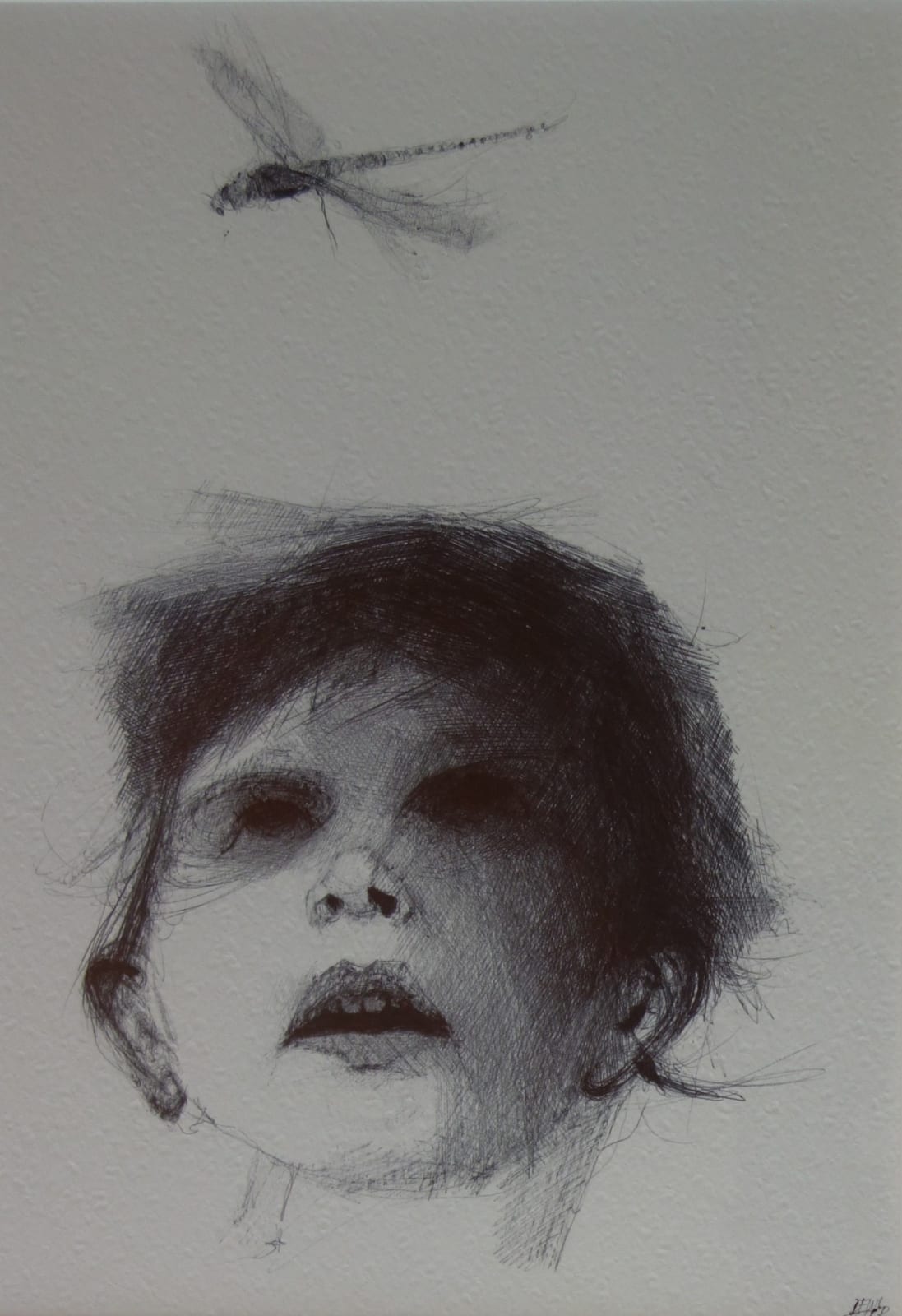 Dewi Tudur, Mi Glywaf was y Neidr / I Can Hear the Dragonfly