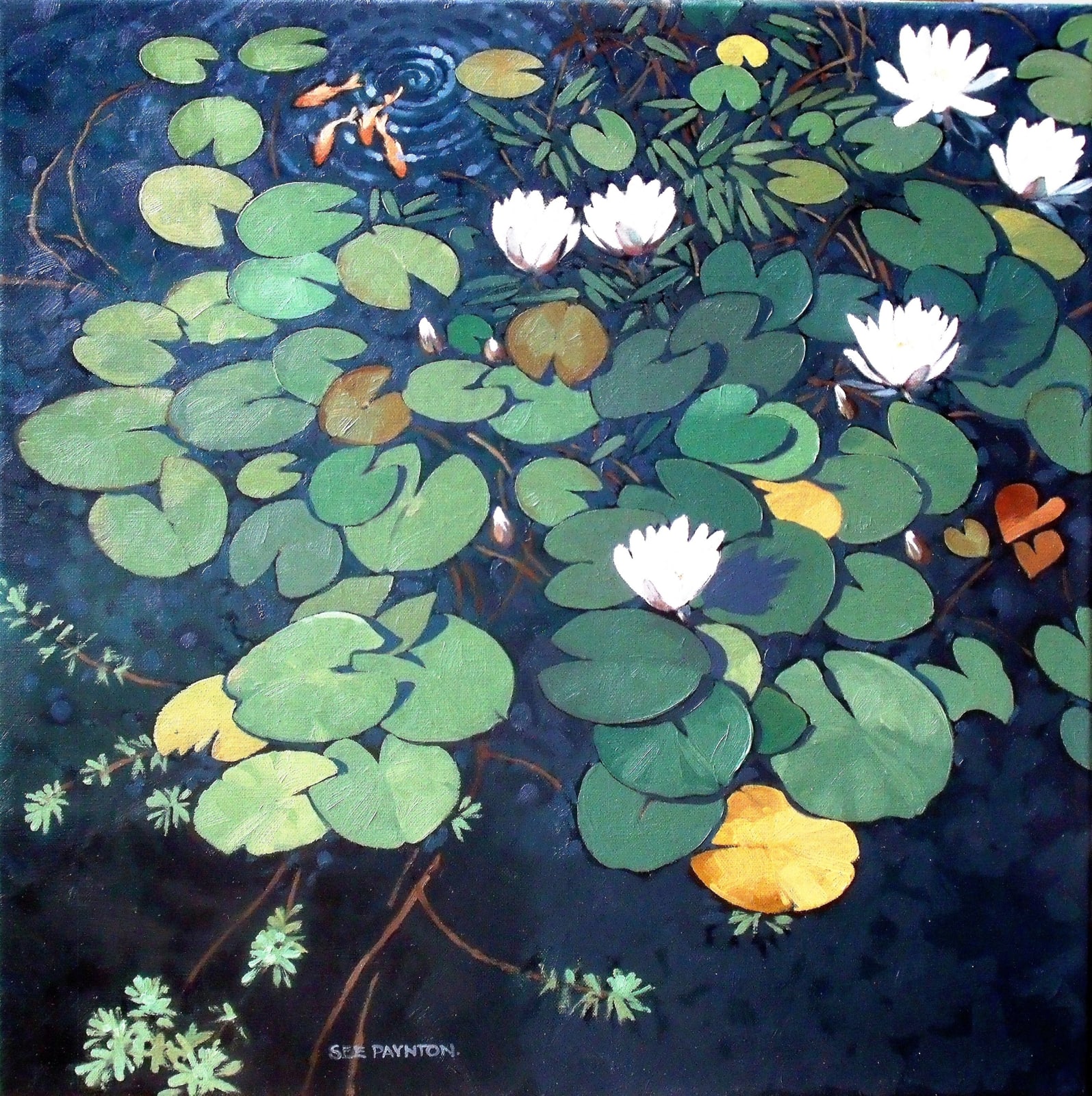 Colin See-Paynton, Our Lily Pond II