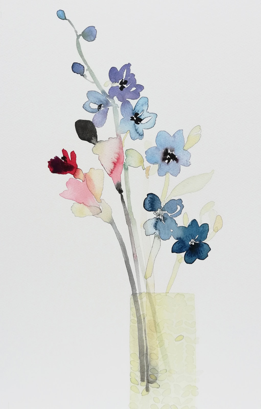 Susan Kane, Red Freesia