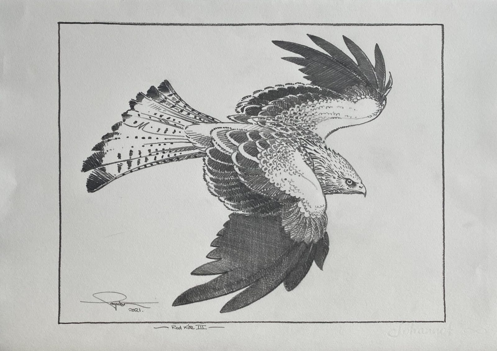 Colin See-Paynton, Red Kite III