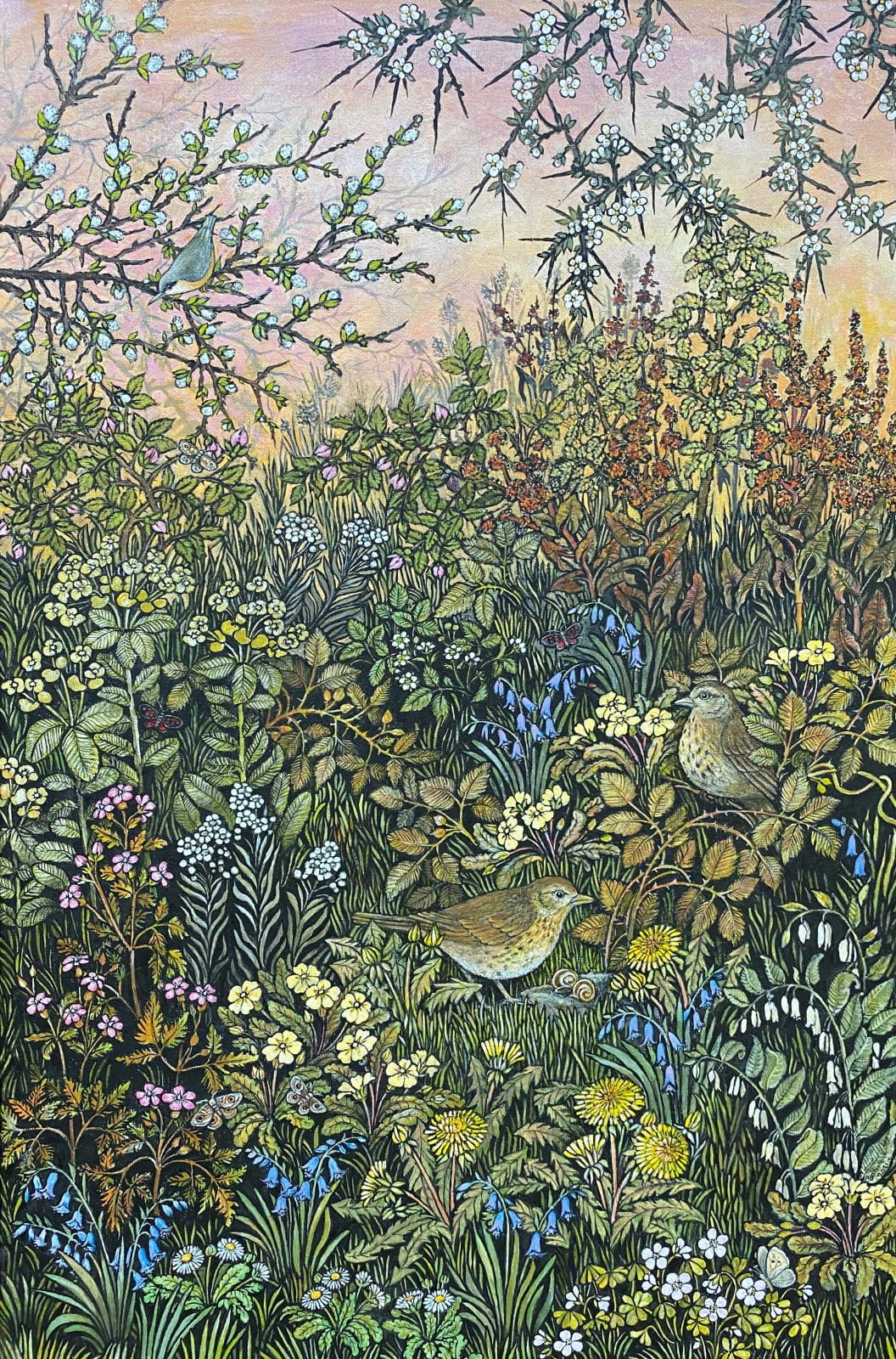 Barbara Winrow, Thrushes II