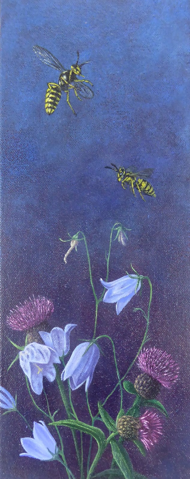 Kim Dewsbury, Garden Life with Harebells & Knapweed