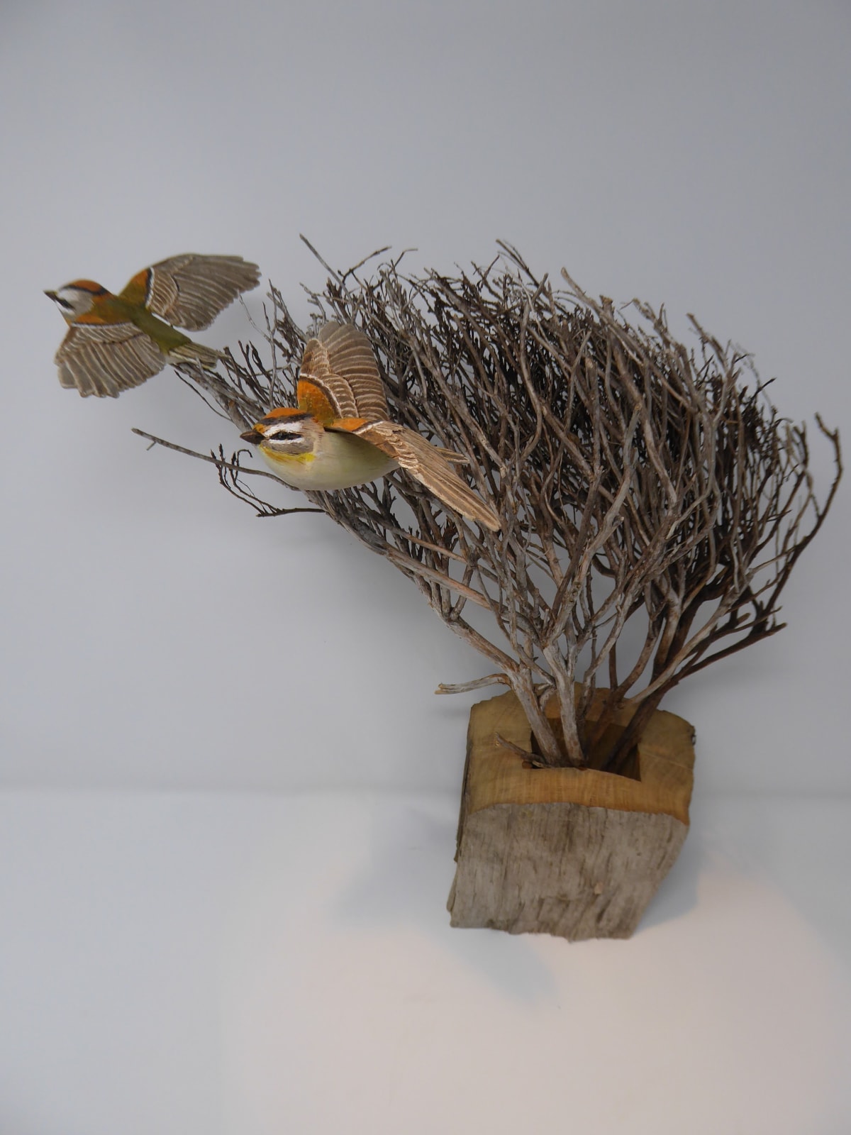 John & Marilyn Davies, Firecrests
