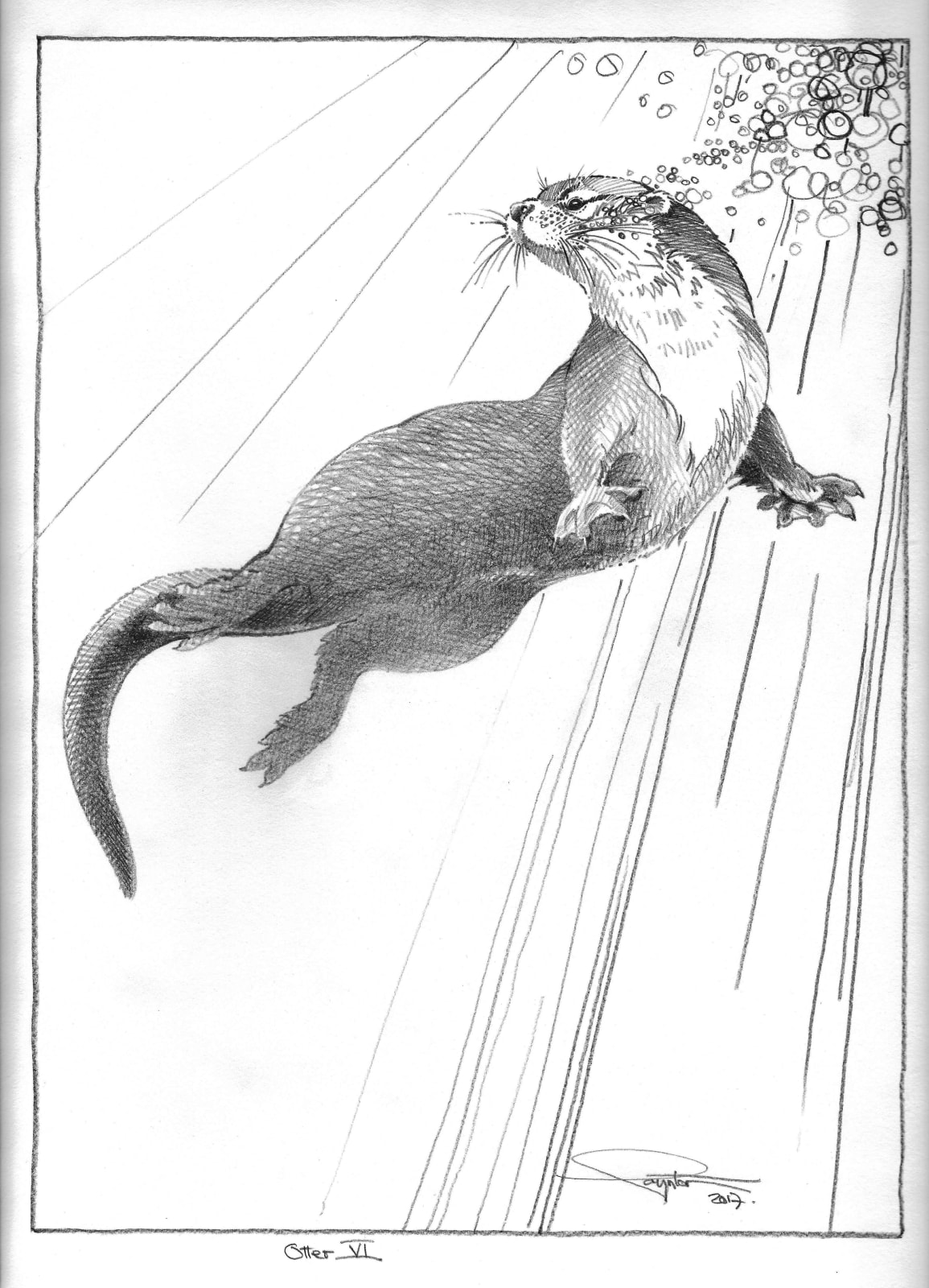 Colin See-Paynton, Otter VI