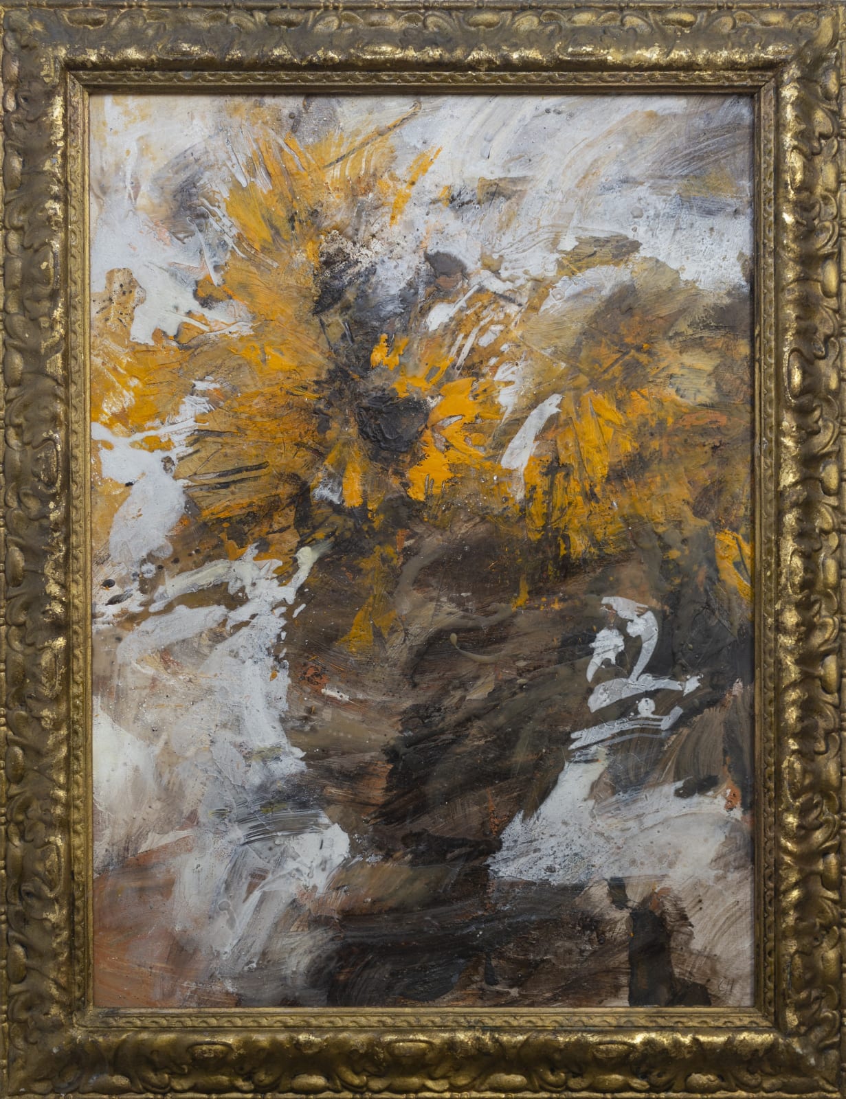 Chloe Holt, Cadmia Sunflowers