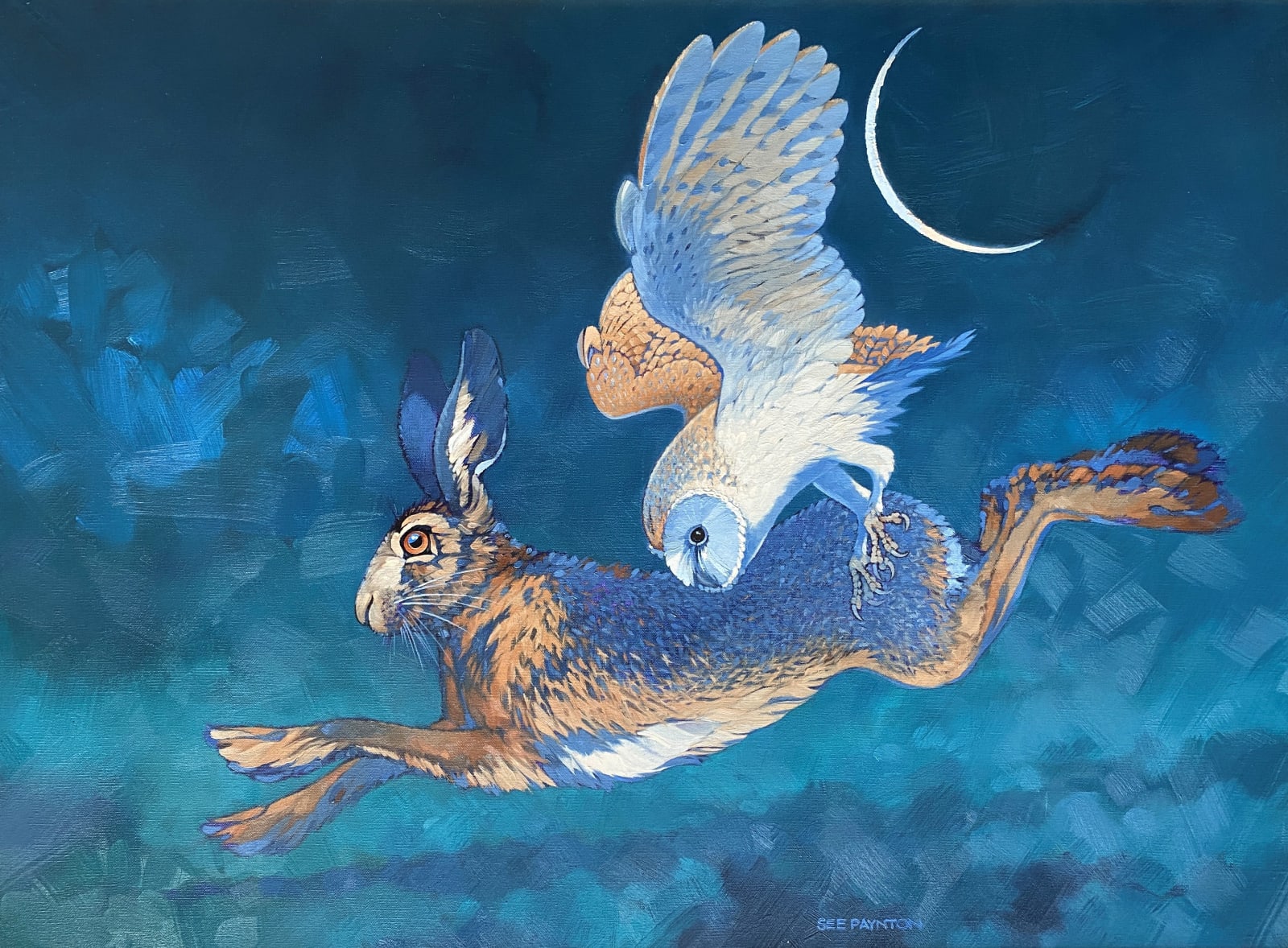 Colin See-Paynton, Nocturnal Encounter I - Owl and Hare