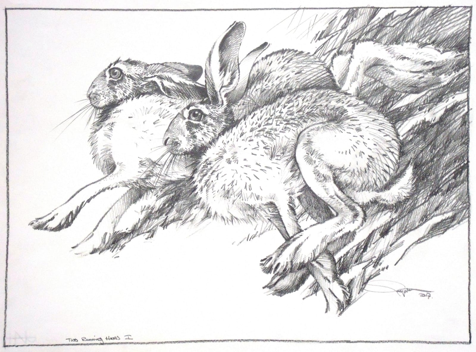 Colin See-Paynton, Two Running Hares I