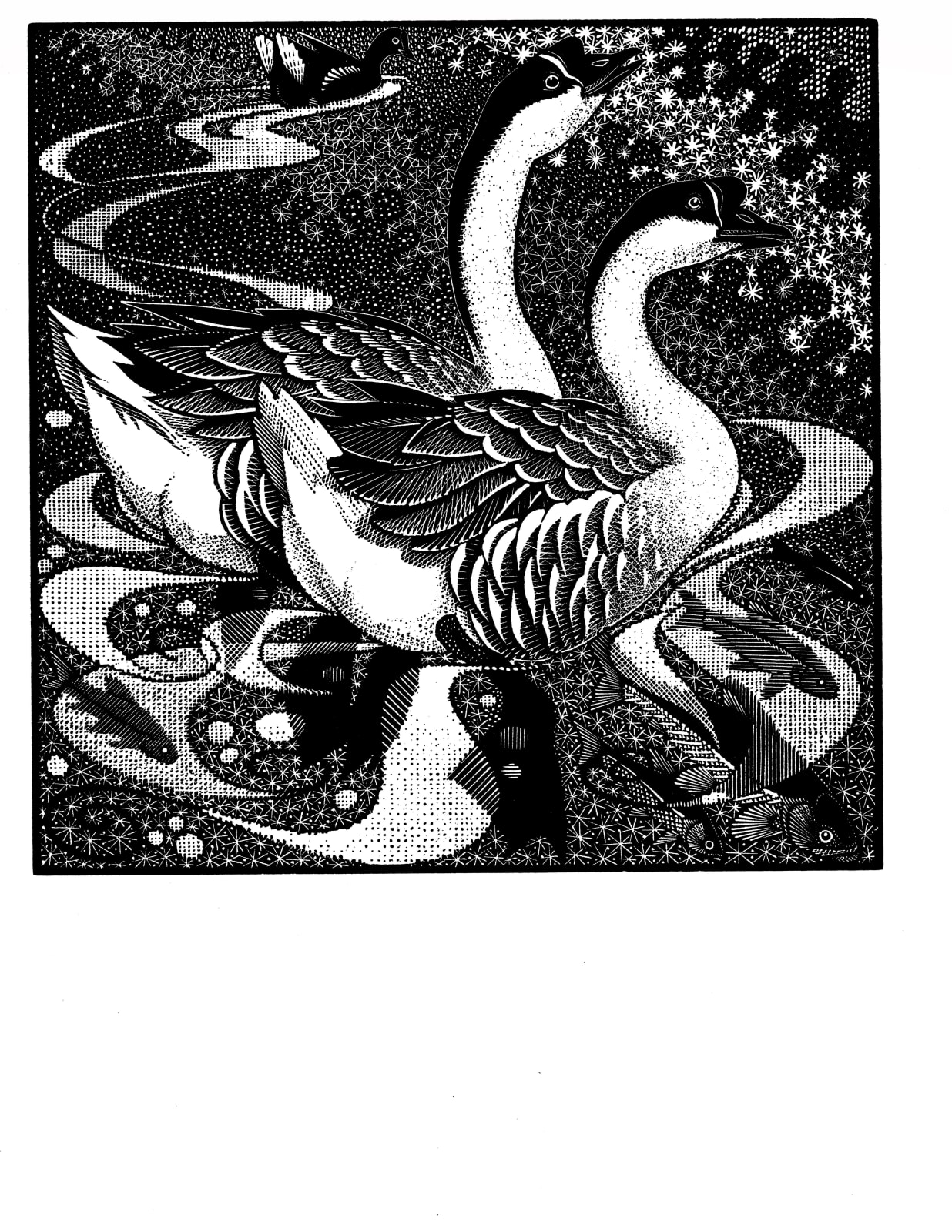 Colin See-Paynton, Gaggle of Geese I