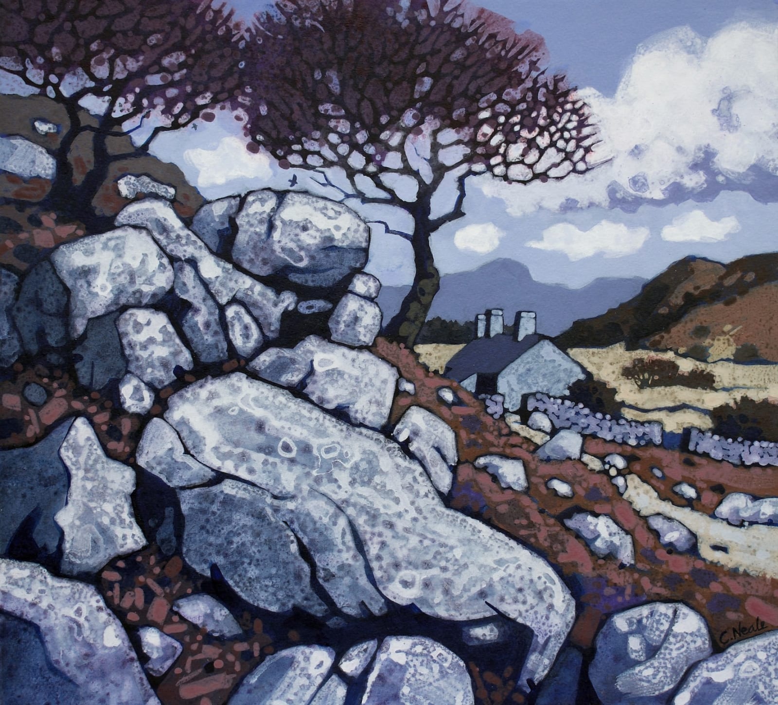 Chris Neale, Nant Pasgan I, 2024