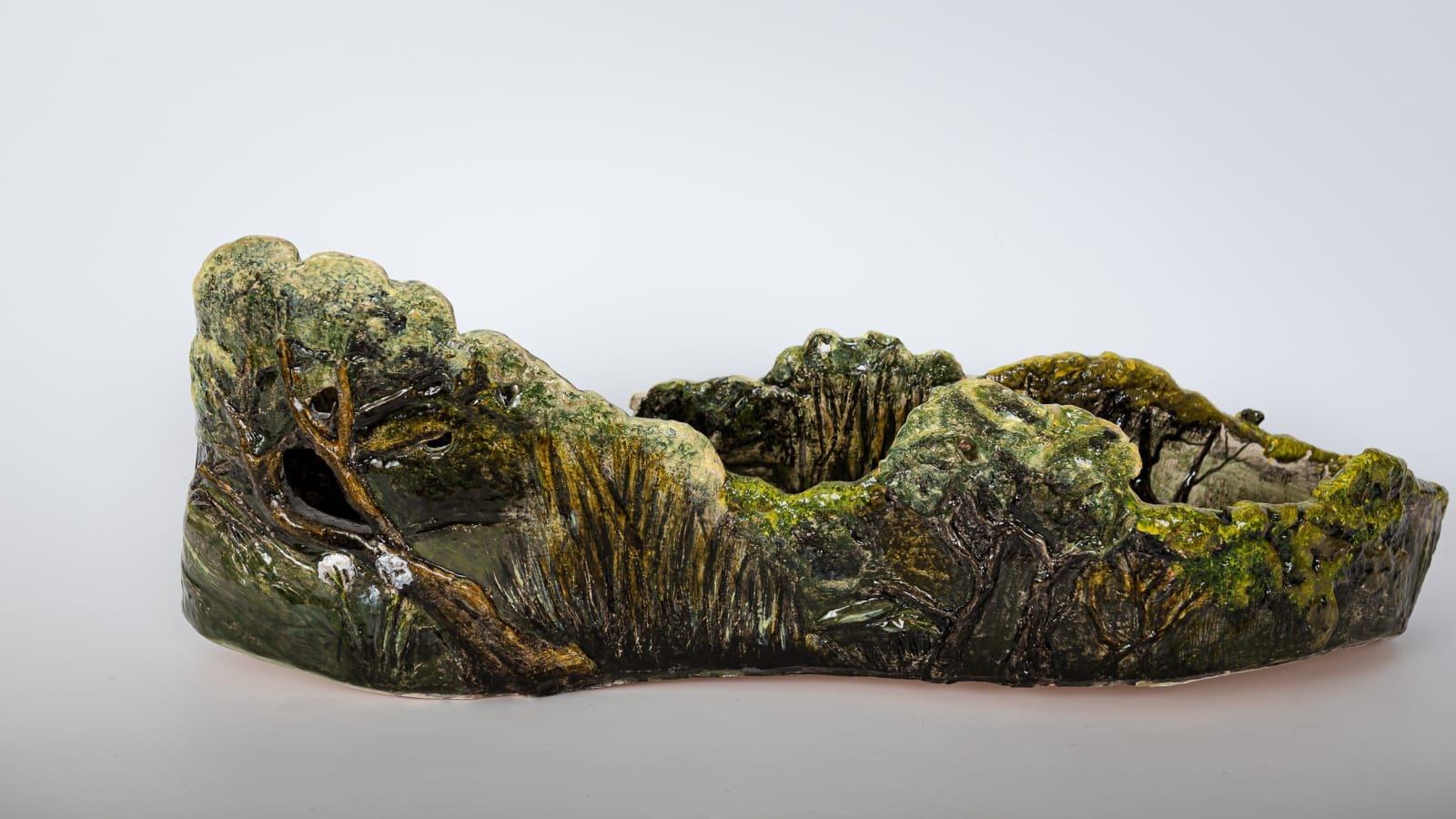 Helen Gittins, Dippers at Pen y Felin