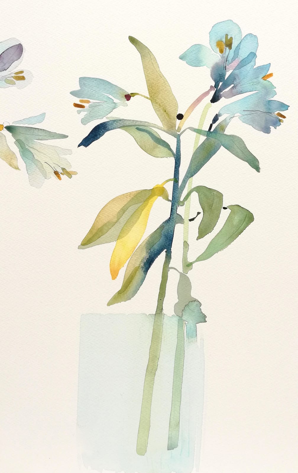 Susan Kane, Lillies