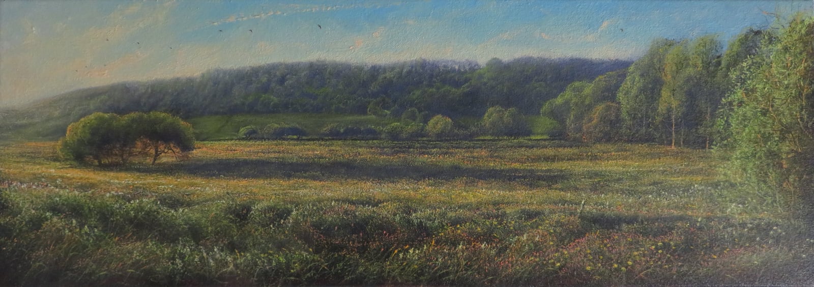 Gerald Dewsbury, Garthmeilio Meadows