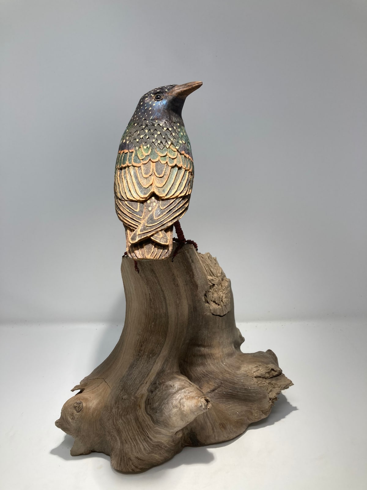 John & Marilyn Davies, Starling, 2024