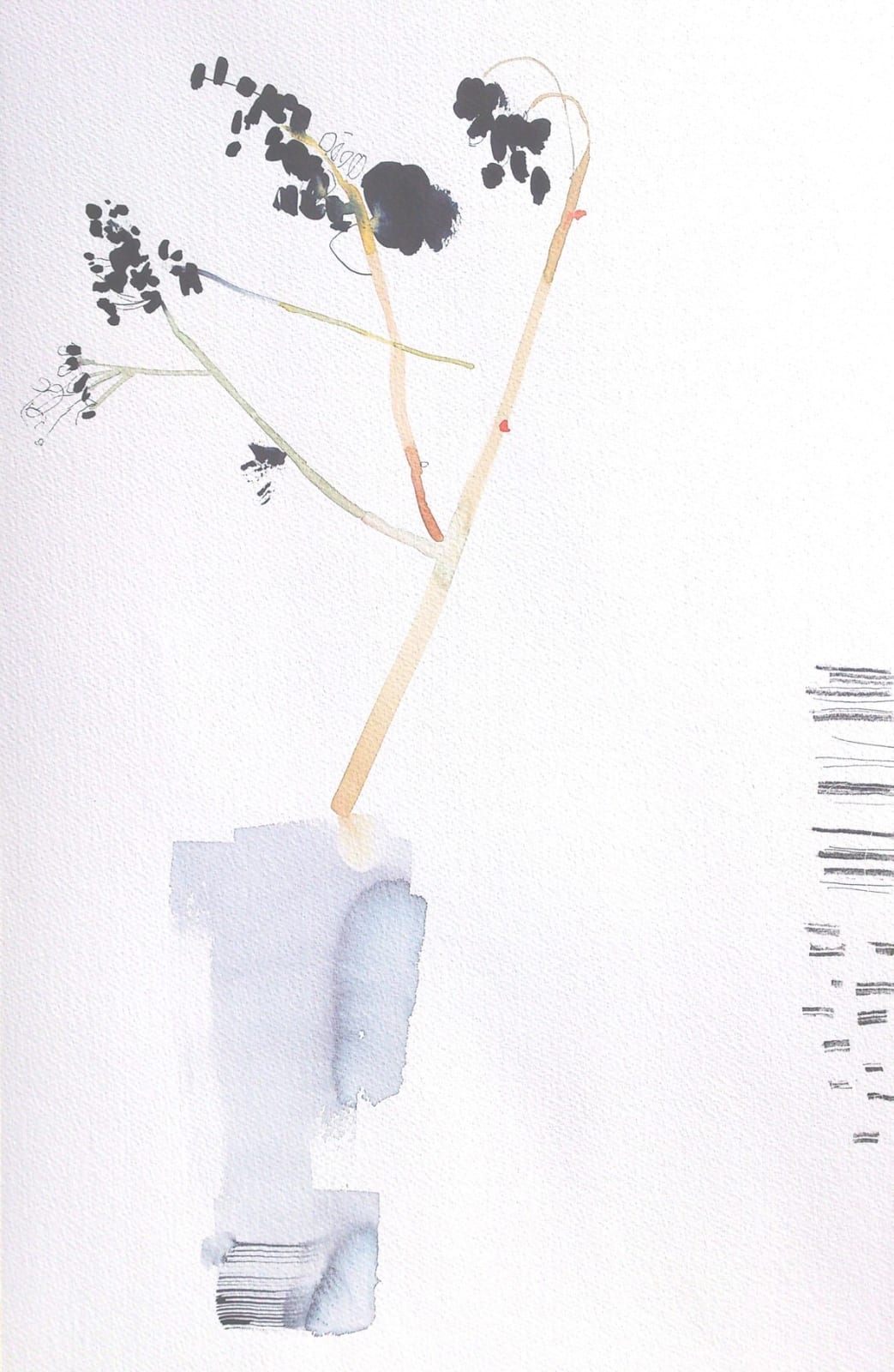 Susan Kane, Elderberries